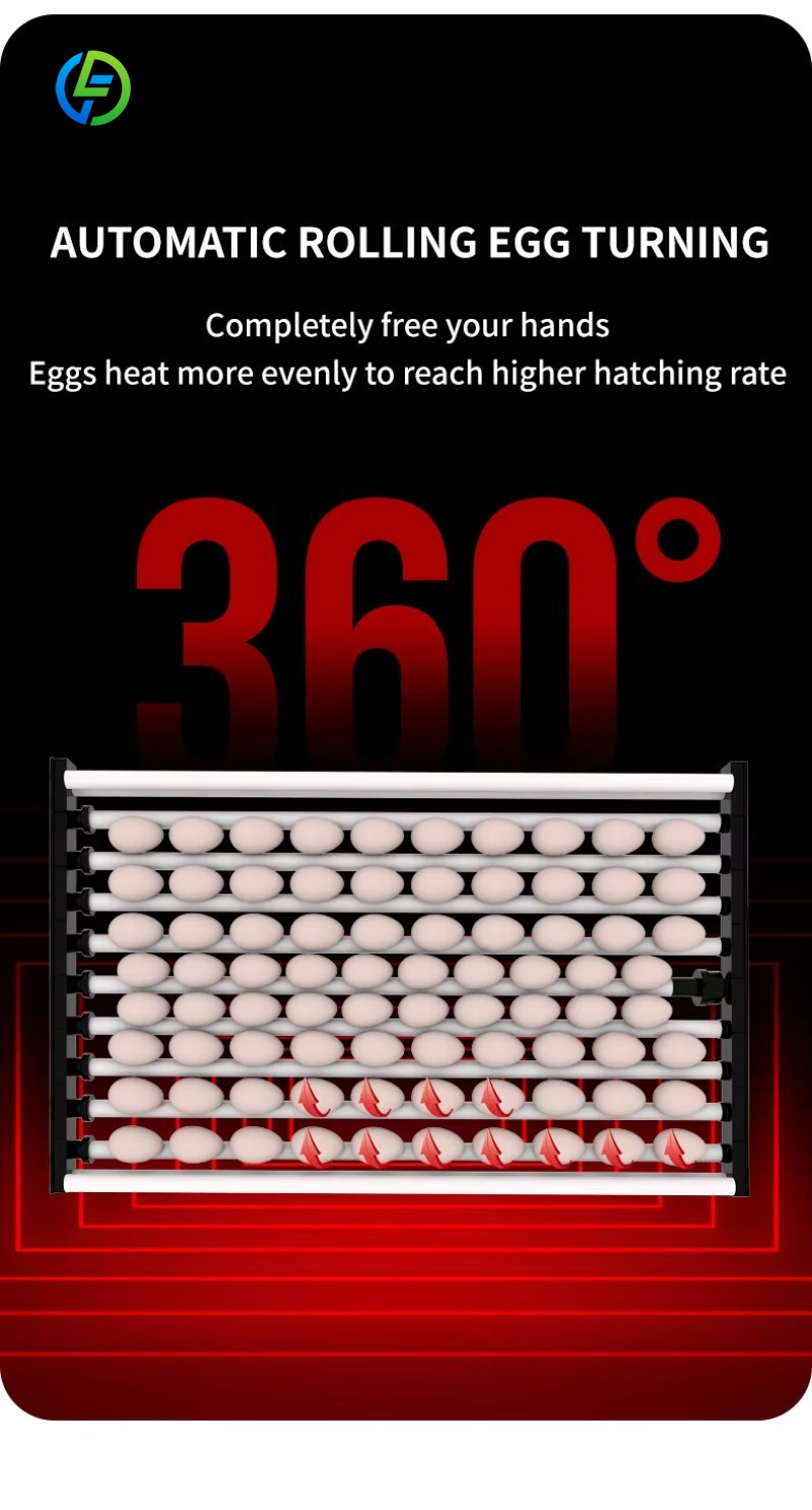 New Quail Chicken Incubator 50 - огляд і ціна Rotary Bakery Oven
