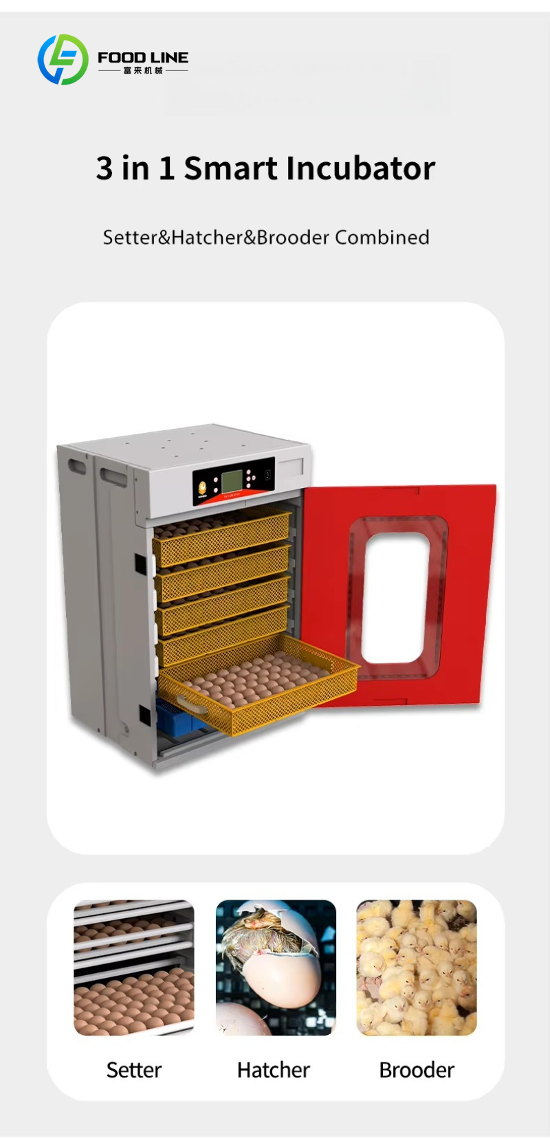 New Quail Chicken Incubator 50 - огляд і ціна Rotary Bakery Oven